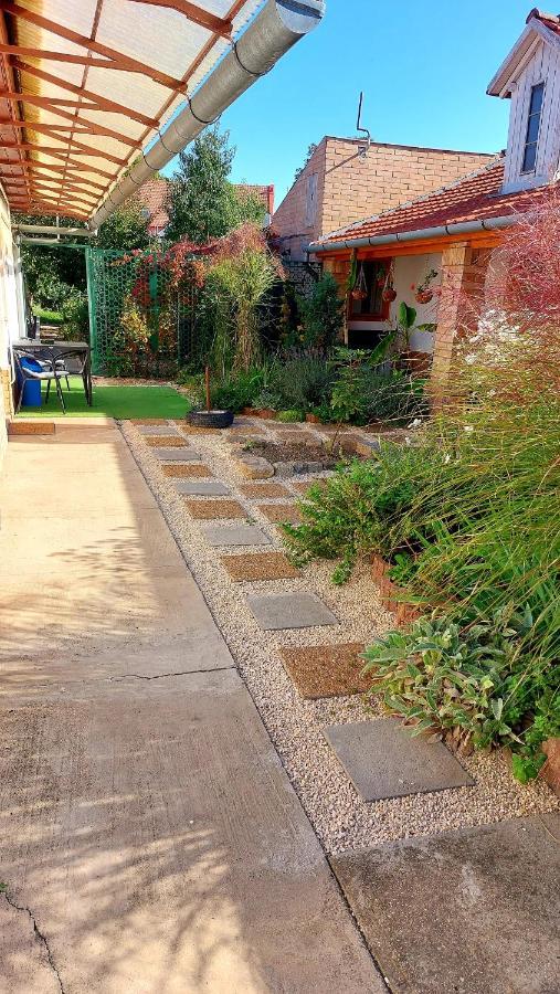 Mandula Apartman Szeged Esterno foto